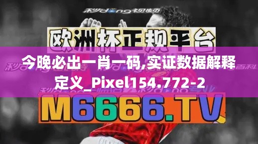 今晚必出一肖一码,实证数据解释定义_Pixel154.772-2