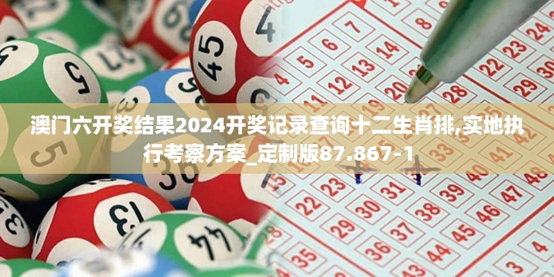 澳门六开奖结果2024开奖记录查询十二生肖排,实地执行考察方案_定制版87.867-1