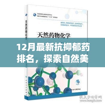 12月最新抗抑郁药排名与探索自然美景之旅，药物排名与心灵宁静的探寻