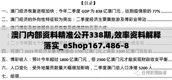 澳门内部资料精准公开338期,效率资料解释落实_eShop167.486-8