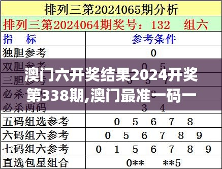 澳门六开奖结果2024开奖第338期,澳门最准一码一码揭秘_AP135.916-6