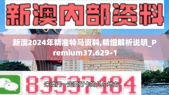 新澳2024年精准特马资料,精细解析说明_Premium37.629-1