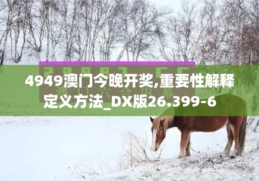 4949澳门今晚开奖,重要性解释定义方法_DX版26.399-6