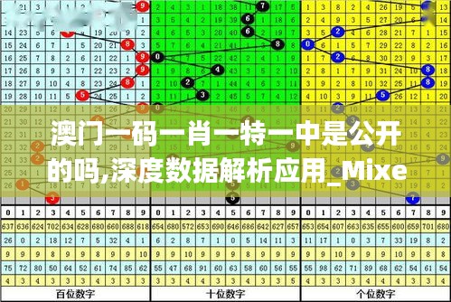 澳门一码一肖一特一中是公开的吗,深度数据解析应用_Mixed4.137-2