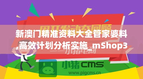 新澳门精准资料大全管家婆料,高效计划分析实施_mShop37.528-8