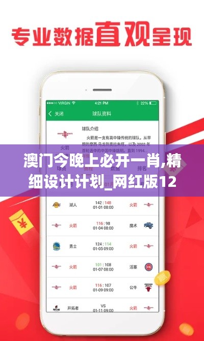 澳门今晚上必开一肖,精细设计计划_网红版12.488-1