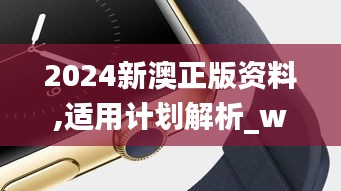 2024新澳正版资料,适用计划解析_watchOS8.991-1