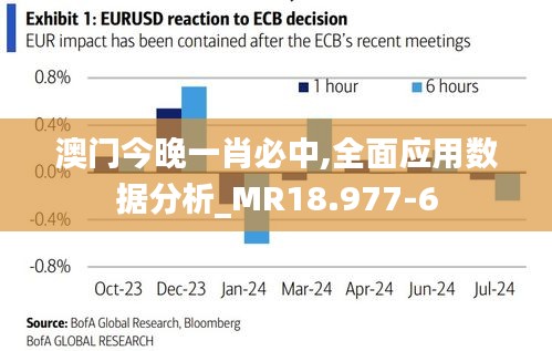 澳门今晚一肖必中,全面应用数据分析_MR18.977-6