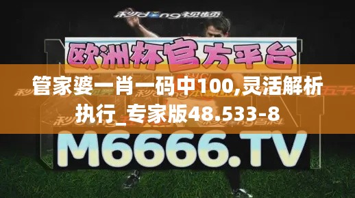 管家婆一肖一码中100,灵活解析执行_专家版48.533-8