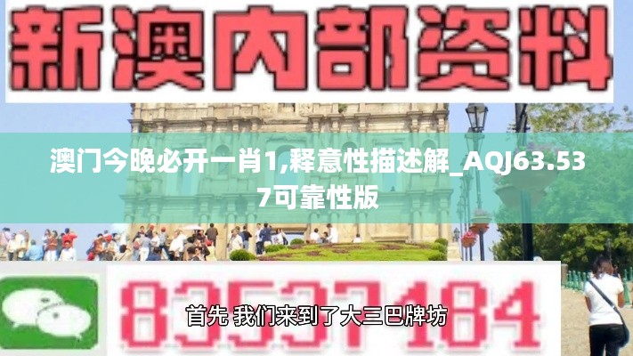 澳门今晚必开一肖1,释意性描述解_AQJ63.537可靠性版