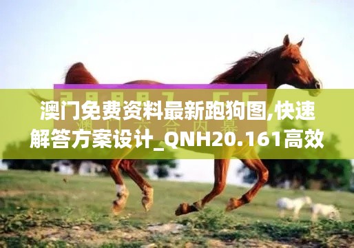 澳门免费资料最新跑狗图,快速解答方案设计_QNH20.161高效版