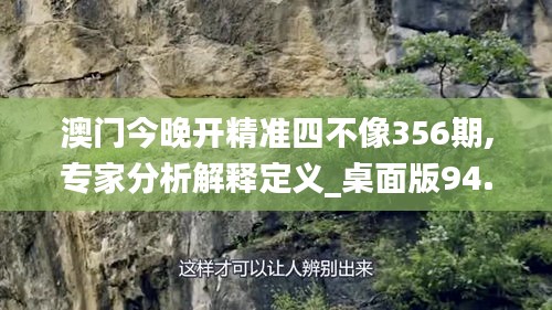 澳门今晚开精准四不像356期,专家分析解释定义_桌面版94.672-5