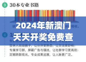 2024年新澳门天天开奖免费查询,快速解答策略实施_10DM65.699-5