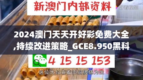 2024澳门天天开好彩免费大全,持续改进策略_GCE8.950黑科技版