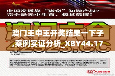 澳门王中王开奖结果一下子,案例实证分析_XBY44.173体验版