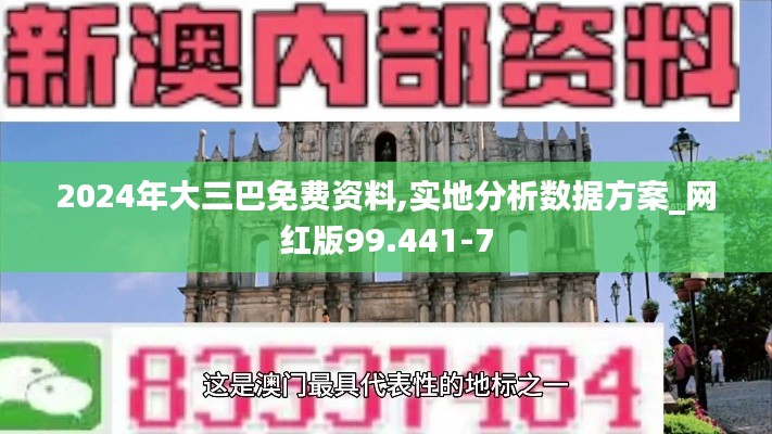 2024年大三巴免费资料,实地分析数据方案_网红版99.441-7