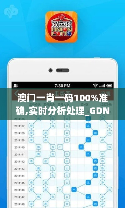 澳门一肖一码100%准确,实时分析处理_GDN8.357清新版