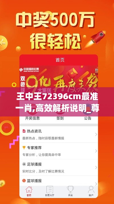 王中王72396cm最准一肖,高效解析说明_尊贵版66.768-3