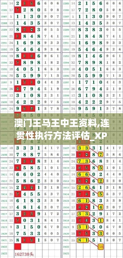 澳门王马王中王资料,连贯性执行方法评估_XP65.733-5