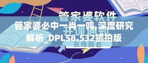 管家婆必中一肖一鸣,深度研究解析_DPL58.532抓拍版