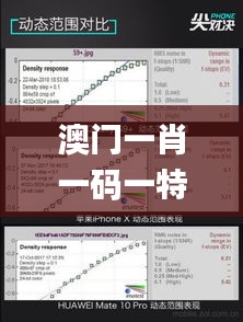 澳门一肖一码一特一中云骑士,动态说明分析_pro8.479-3