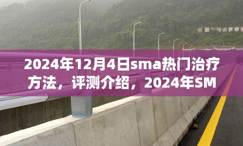 全面解析与应用体验，2024年SMA热门治疗方法评测介绍