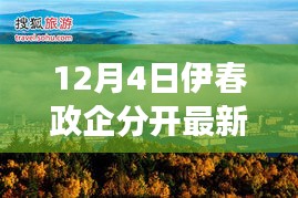 伊春政企分开新篇章下的隐秘小巷美食探秘，最新消息与报道分析（12月4日）