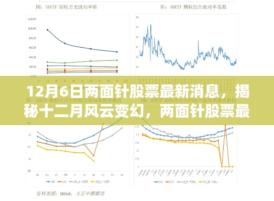 揭秘十二月风云变幻，两面针股票最新动态与市场影响分析