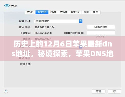 揭秘苹果DNS地址背后的故事，秘境探索与小巷深处的独特风味——历史上的12月6日最新DNS地址解析