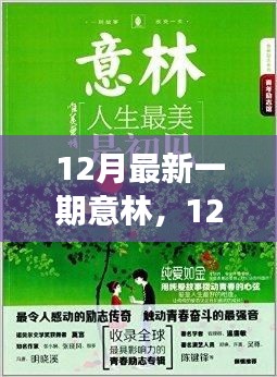 12月最新一期意林，12月最新一期意林，探索智慧与人生的交汇点