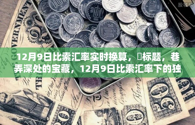 巷弄深处的宝藏，12月9日比索汇率下的独特小店探秘与实时汇率换算