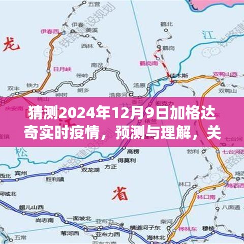 关于加格达奇在2024年12月9日的实时疫情展望与预测分析