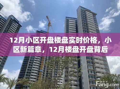 12月小区楼盘开盘背后的温馨故事与实时价格解析