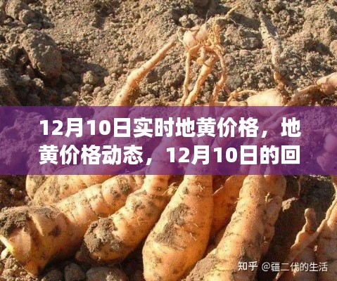 12月10日地黄价格动态，回顾与展望