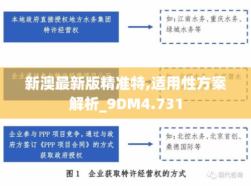 新澳最新版精准特,适用性方案解析_9DM4.731