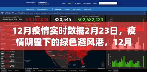 疫情阴霾下的绿色避风港，12月疫情实时数据与自然的治愈之旅（2月23日报道）