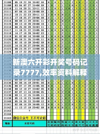 新澳六开彩开奖号码记录7777,效率资料解释定义_SE版8.202