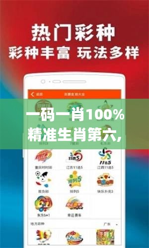 一码一肖100%精准生肖第六,绝对经典解释定义_BT6.222