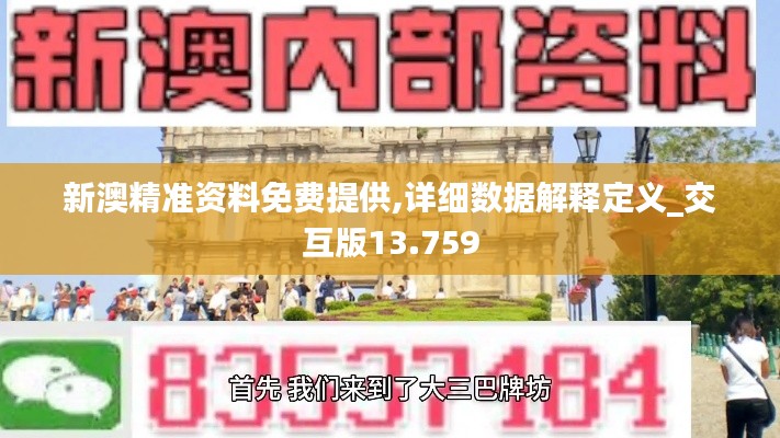 新澳精准资料免费提供,详细数据解释定义_交互版13.759