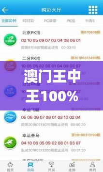 澳门王中王100%正确答案最新章节,数据解析支持计划_suite8.993