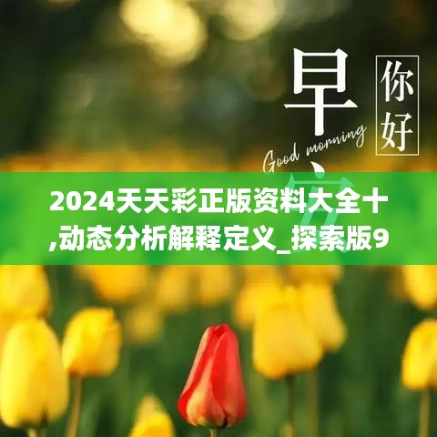 2024天天彩正版资料大全十,动态分析解释定义_探索版9.625