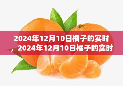 探索柑橘产业的最新动态与发展趋势，2024年12月10日橘子实时报道