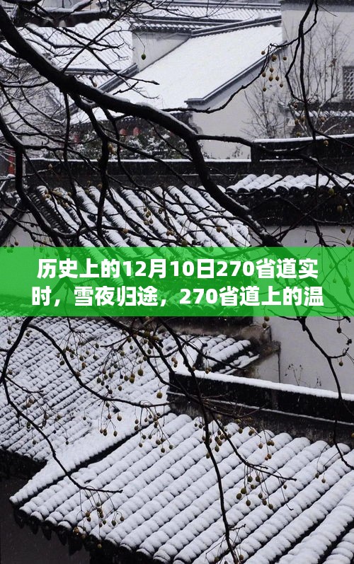 雪夜归途，历史上的今天，在270省道上的暖心故事