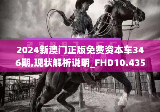 2024新澳门正版免费资本车346期,现状解析说明_FHD10.435