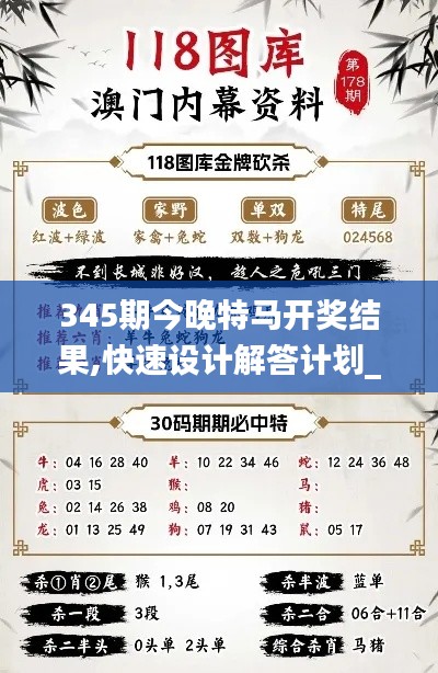 345期今晚特马开奖结果,快速设计解答计划_策略版6.796