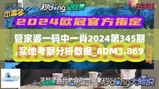 管家婆一码中一肖2024第345期,实地考察分析数据_8DM3.869