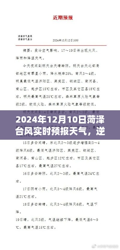 逆风翱翔，菏泽台风下的励志篇章——2024年12月10日菏泽台风实时天气预报