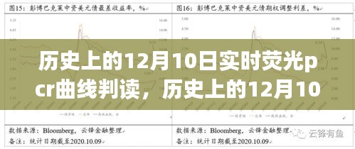 历史上的12月10日，实时荧光PCR曲线判读的深度探讨与实时更新