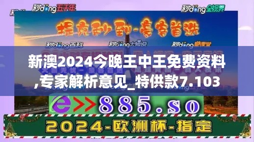 新澳2024今晚王中王免费资料,专家解析意见_特供款7.103