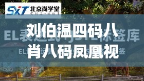 刘伯温四码八肖八码凤凰视频,实践说明解析_DX版1.266